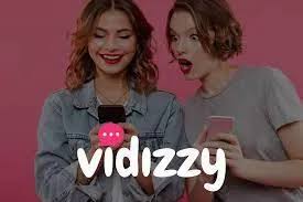 Vidizzy Review